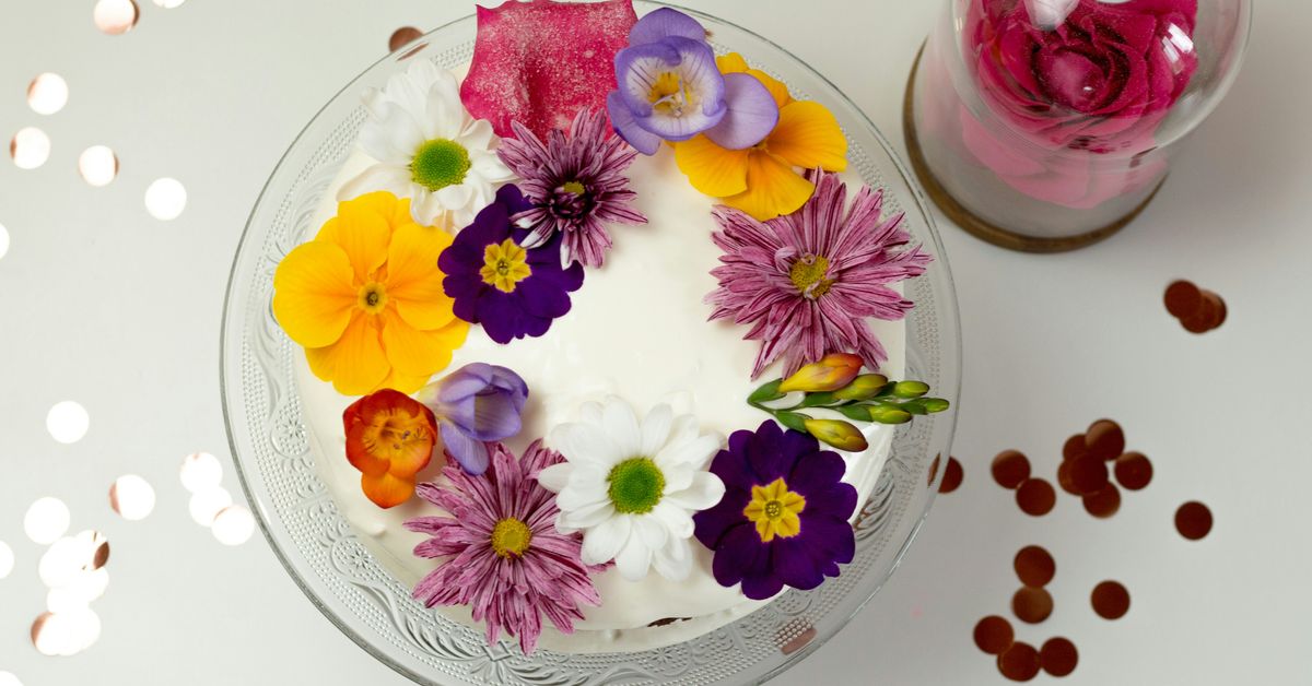 Pavlova Recipes Light and Elegant Meringue Desserts
