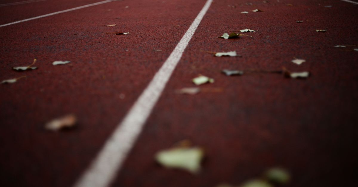 Nutritional Insights for HighPerformance Sports