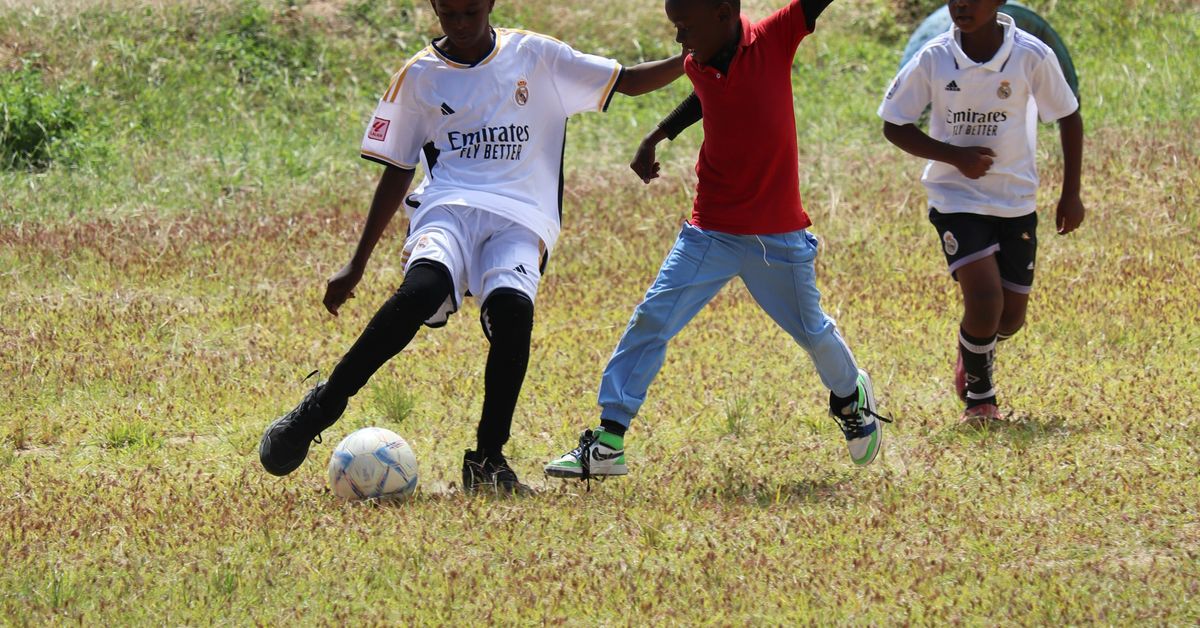 Economic Impact of Sports Facilities Development